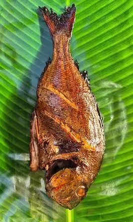 poisson fume bbq
