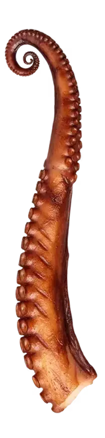 tentacule de poulpe fume
